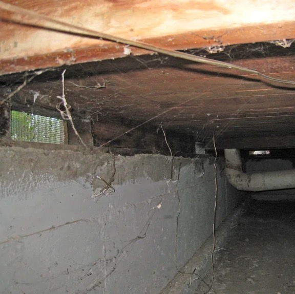 Crawlspace Cleaning & Sanitation in High Point, NC