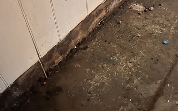 Toilet Overflow Water Removal in Lenoir, NC