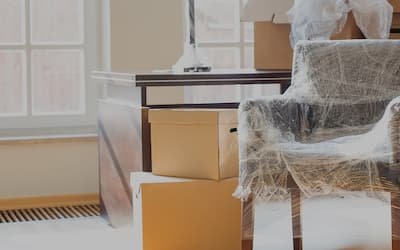 Contents & Belongings 